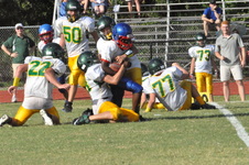 Enlarge photo 449