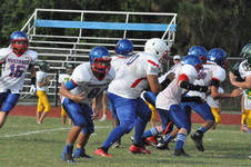 Enlarge photo 451