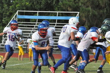 Enlarge photo 452
