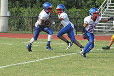 Enlarge photo 453