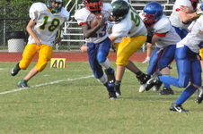 Enlarge photo 457