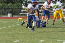 Enlarge photo 459