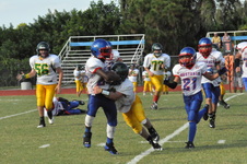 Enlarge photo 460