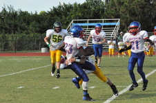 Enlarge photo 461