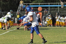 Enlarge photo 463