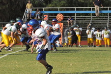 Enlarge photo 464