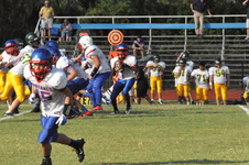Enlarge photo 465