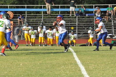Enlarge photo 467
