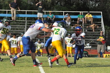 Enlarge photo 471