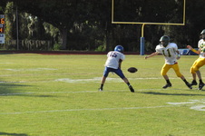 Enlarge photo 473