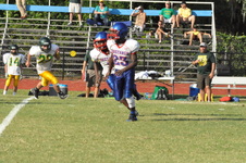 Enlarge photo 477