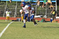 Enlarge photo 478