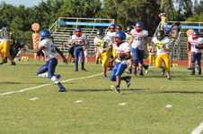 Enlarge photo 481