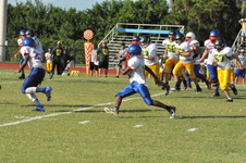 Enlarge photo 482