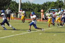 Enlarge photo 483
