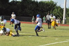 Enlarge photo 484