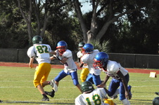 Enlarge photo 486