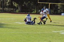 Enlarge photo 489