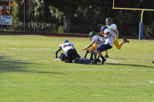Enlarge photo 490