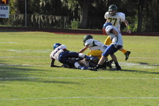Enlarge photo 491