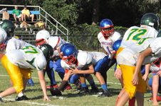 Enlarge photo 494