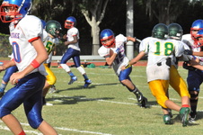 Enlarge photo 495