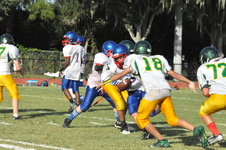 Enlarge photo 496