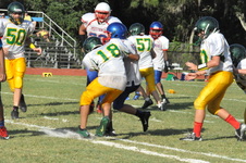 Enlarge photo 497