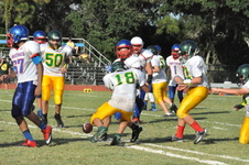 Enlarge photo 498