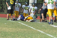 Enlarge photo 513