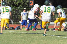 Enlarge photo 518