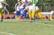 Enlarge photo 519