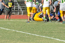 Enlarge photo 520