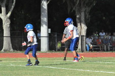 Enlarge photo 523