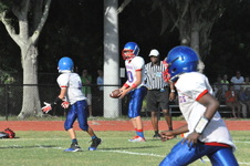 Enlarge photo 526
