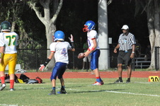 Enlarge photo 528