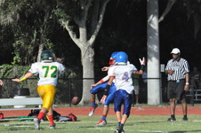 Enlarge photo 529