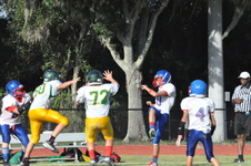 Enlarge photo 530