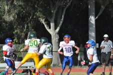 Enlarge photo 531
