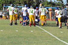 Enlarge photo 534