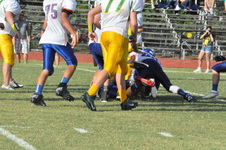 Enlarge photo 537