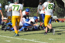 Enlarge photo 541