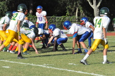 Enlarge photo 544