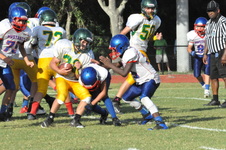 Enlarge photo 546