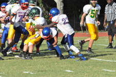 Enlarge photo 547