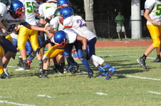 Enlarge photo 548