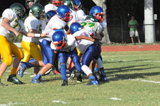 Enlarge photo 549