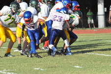 Enlarge photo 550