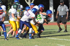 Enlarge photo 551