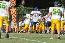 Enlarge photo 557